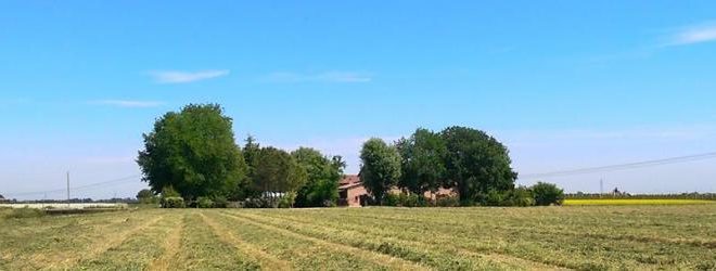 azienda agricola ca ridolfi