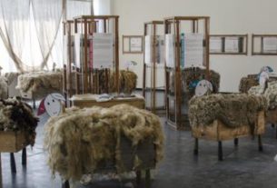 Biella The Wool Company