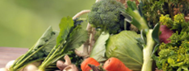 biricoccolo