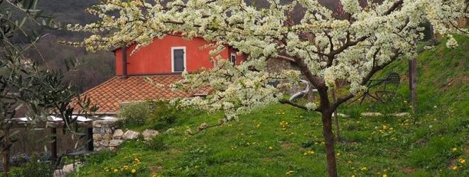 campo di luna