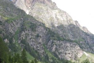Canapa Alpina