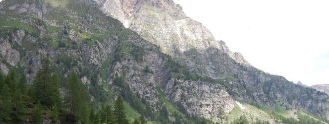 canapa alpina