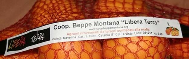 Cooperativa Beppe Montana