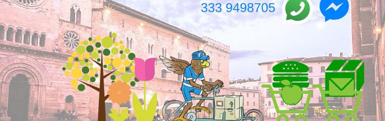 Foligno Bike Messenger