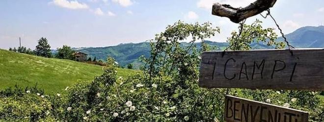 i campi di borla