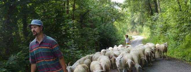 i pascoli di amaltea