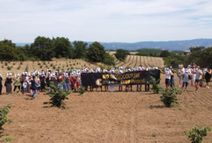 Nocciola Italia: contadini e cittadini contro l’avanzata delle monoculture