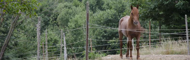 Oasi di Scacco e Hope