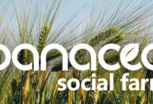 Panacea Social Farm