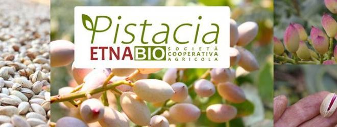 pistacia etna bio