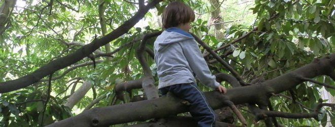 scuola bosco