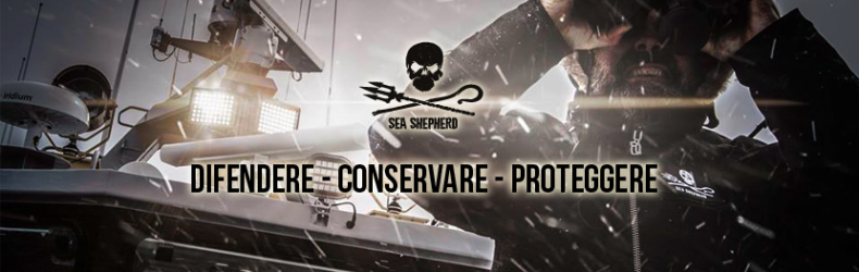 Sea Shepherd Italy