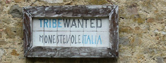 tribewanted monestevole