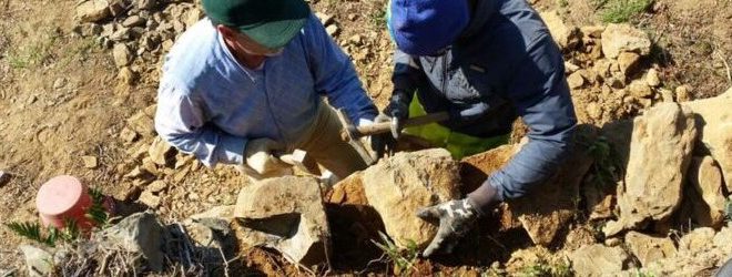 Fondazione Manarola Muretti a secco