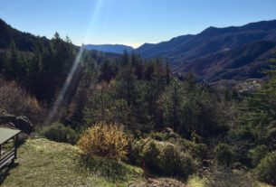 Offro casa immersa nella natura adatta per cohousing o ricettività rurale