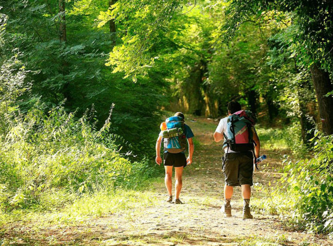 Via Francigena3