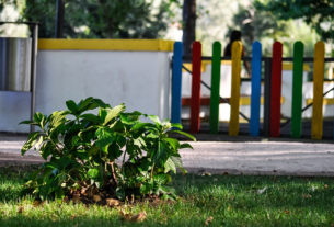 “Usiamo cortili e giardini scolastici come aule all’aperto”