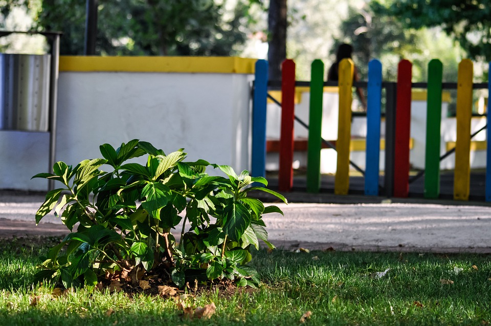 cortile scuola