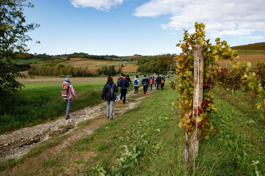 Monferrato1