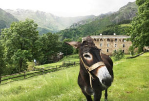 Slow Food Travel: un viaggio lento tra gli artigiani del cibo sulle montagne biellesi