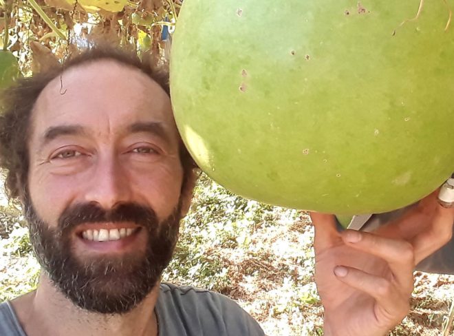 lampadezucca 3