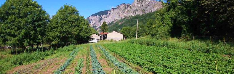 Germinale Cooperativa Agricola di Comunità