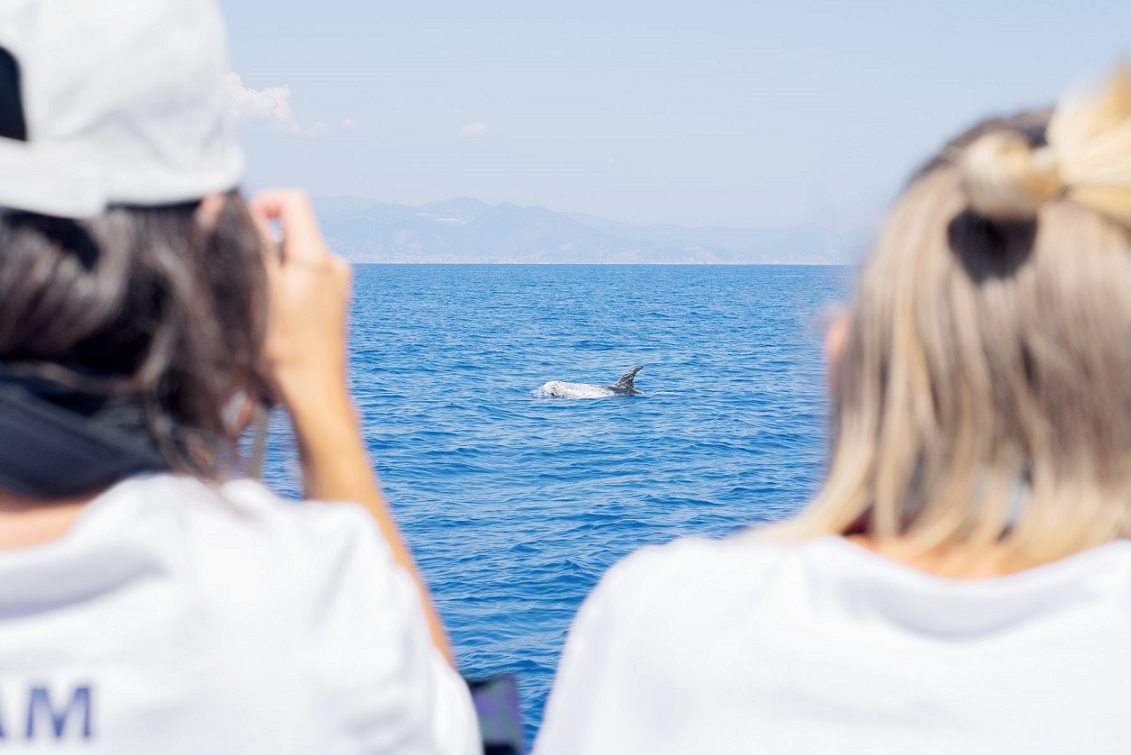 Menkab: conoscere il santuario dei cetacei per poterlo tutelare