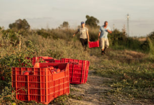 Esperanto, inventare l’avvenire coltivando un terreno confiscato alla camorra