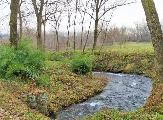 Eco parco