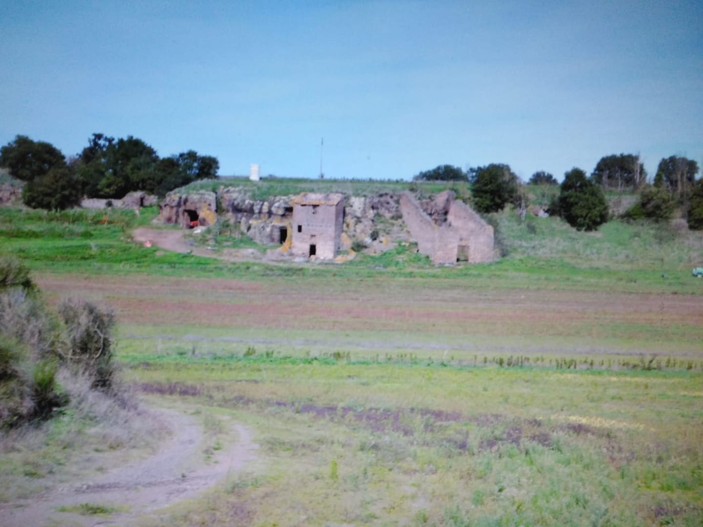 Cerco persone per costruire una microcomunità agricola, educativa e autosufficiente