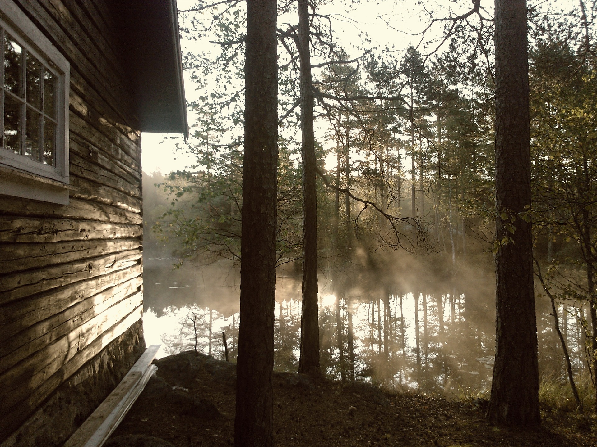 Cerco casa isolata in pianura o bosco