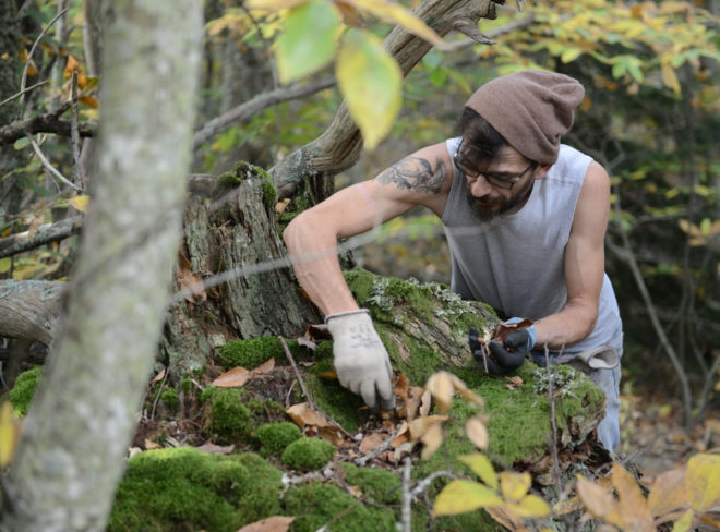 collettivo quercus