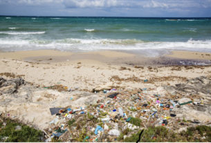 Cerco artisti o artigiani che sappiano lavorare con la plastica riciclata