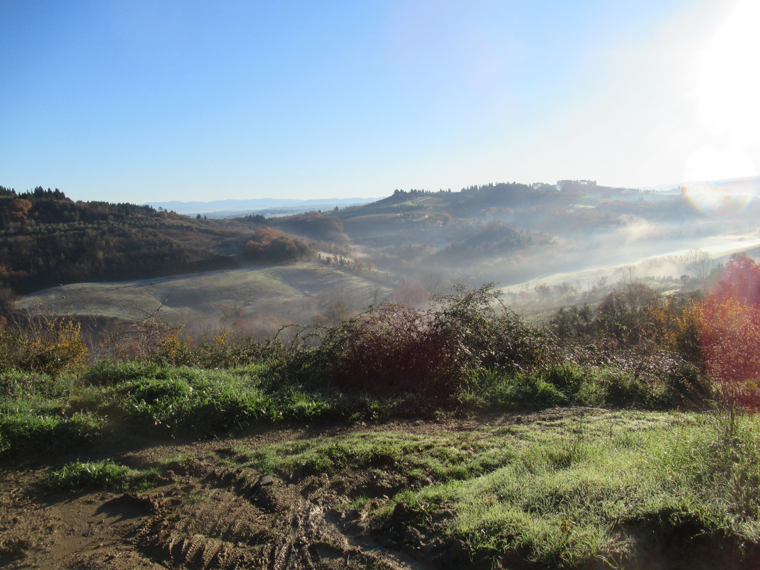 Offro terreno in comodato gratuito in Toscana