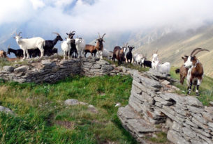 In Val Grande il ritorno dei montanari ripopola e risveglia la borgata