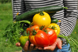 Il ritorno all’agricoltura degli under 35