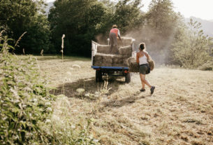 Agricoltura e alimentazione: ecco come cambiarle