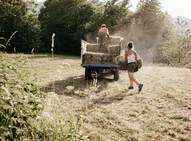 Agricoltura e alimentazione4