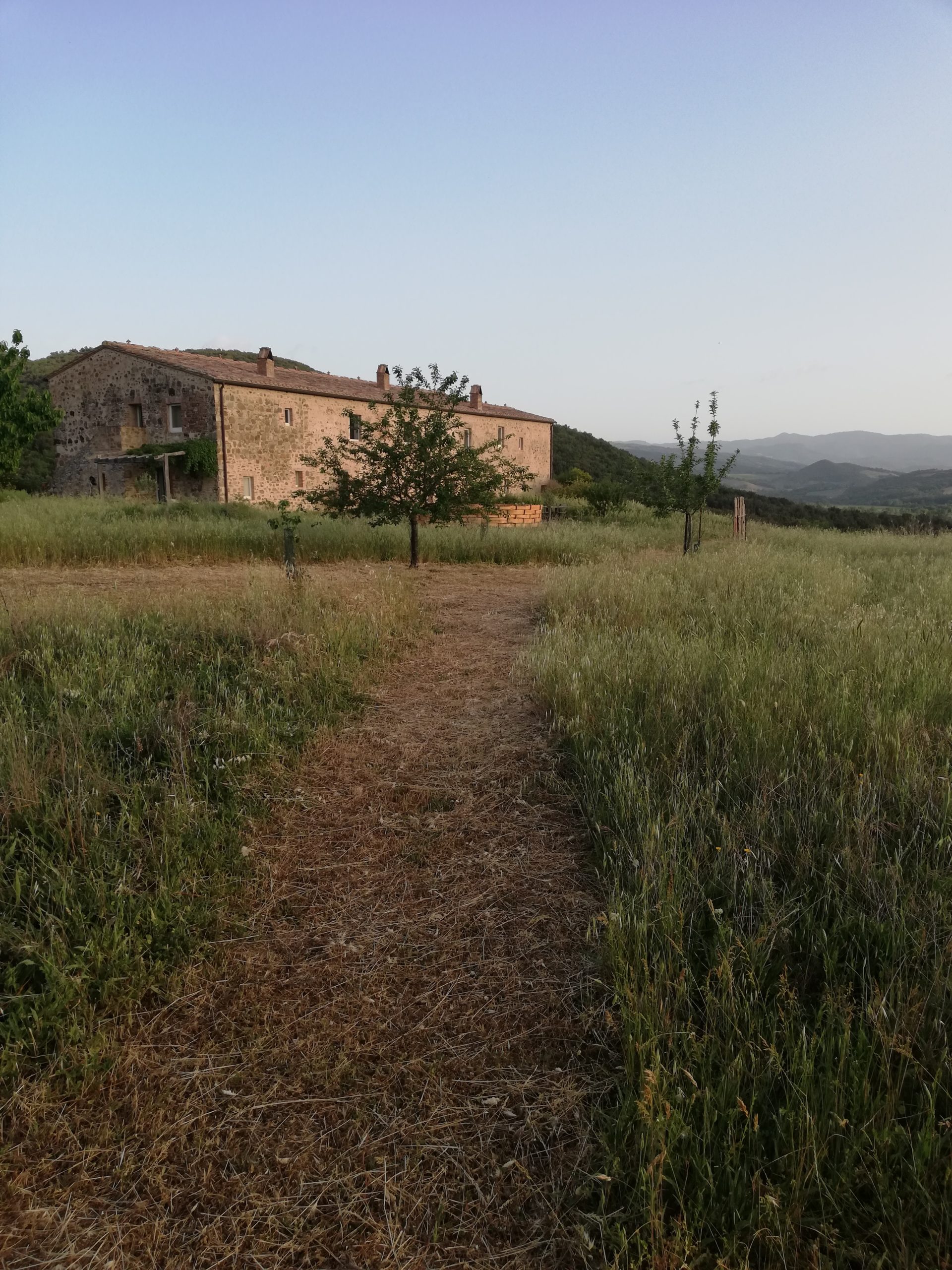 Cerco Estate in val d’orcia