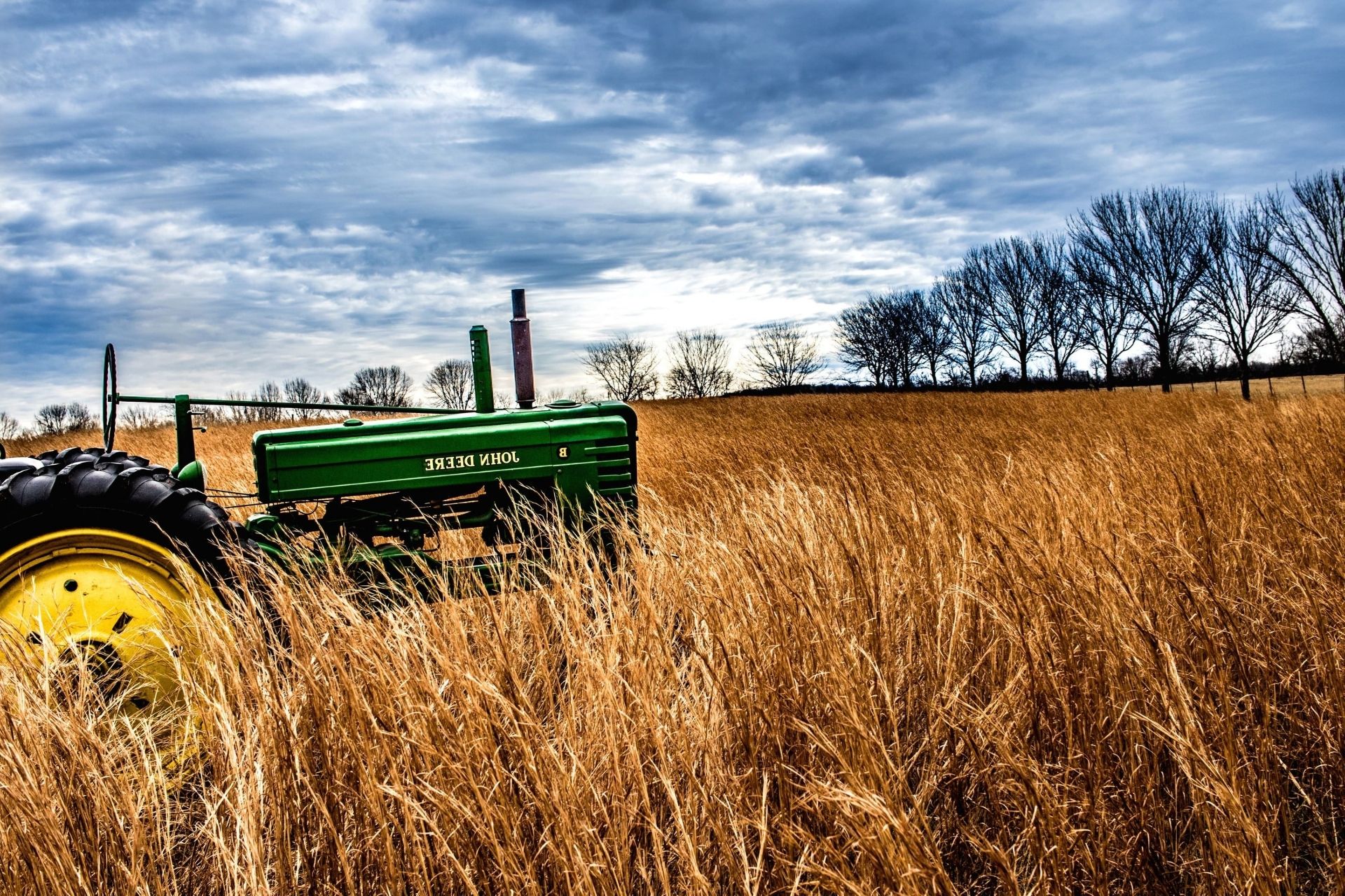 Selezioniamo agronomo o figura con esperienza in agricoltura sociale