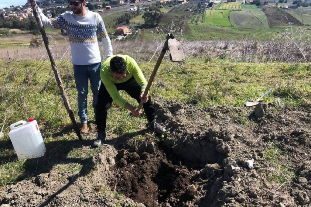 il seme di chico 1