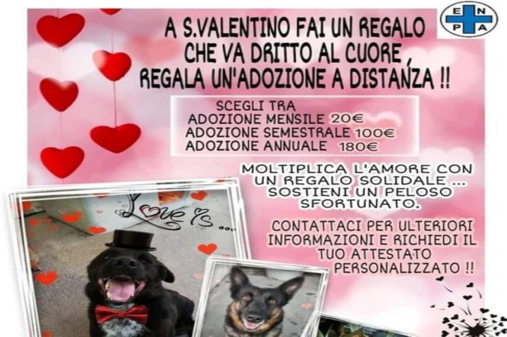 san valentino canile