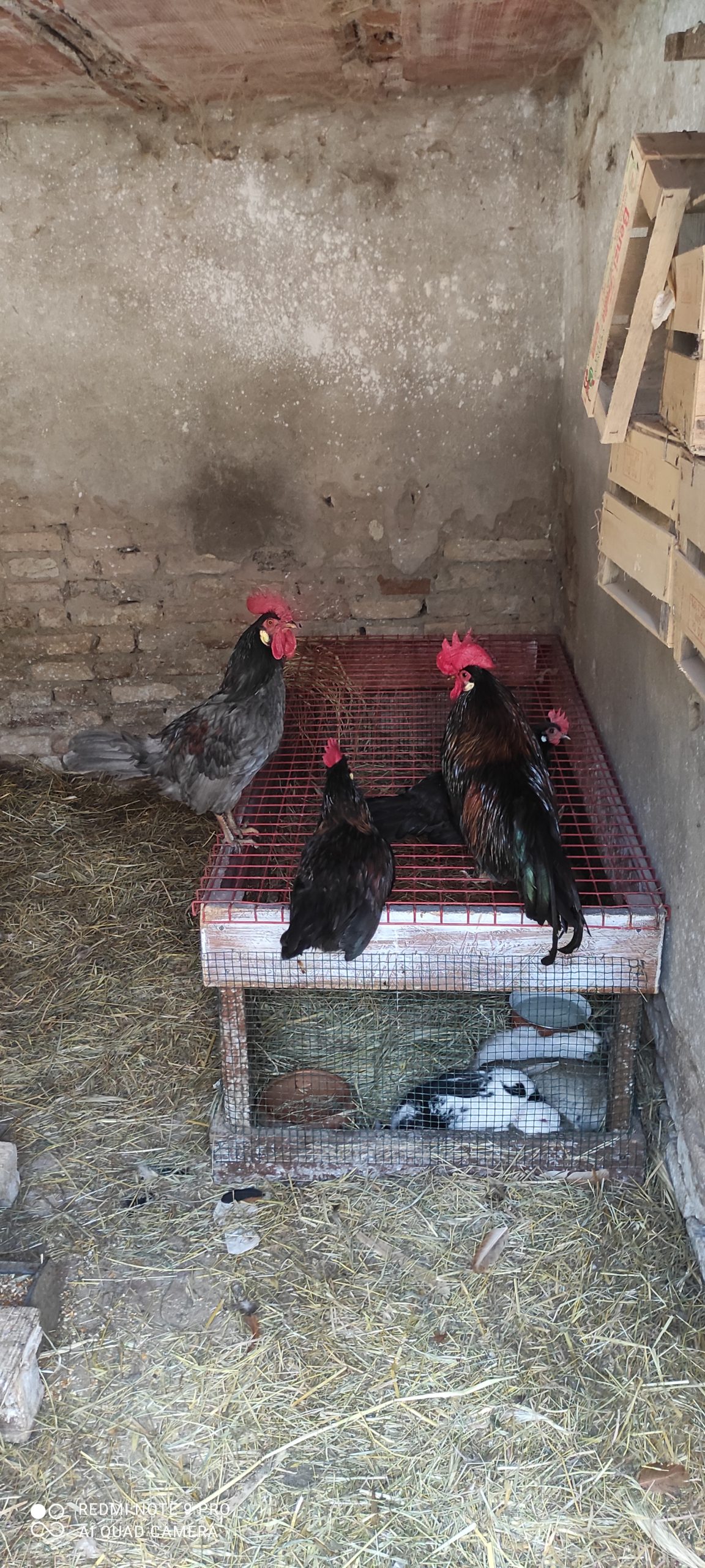 Cerco casa con terreno in zona Pontremoli