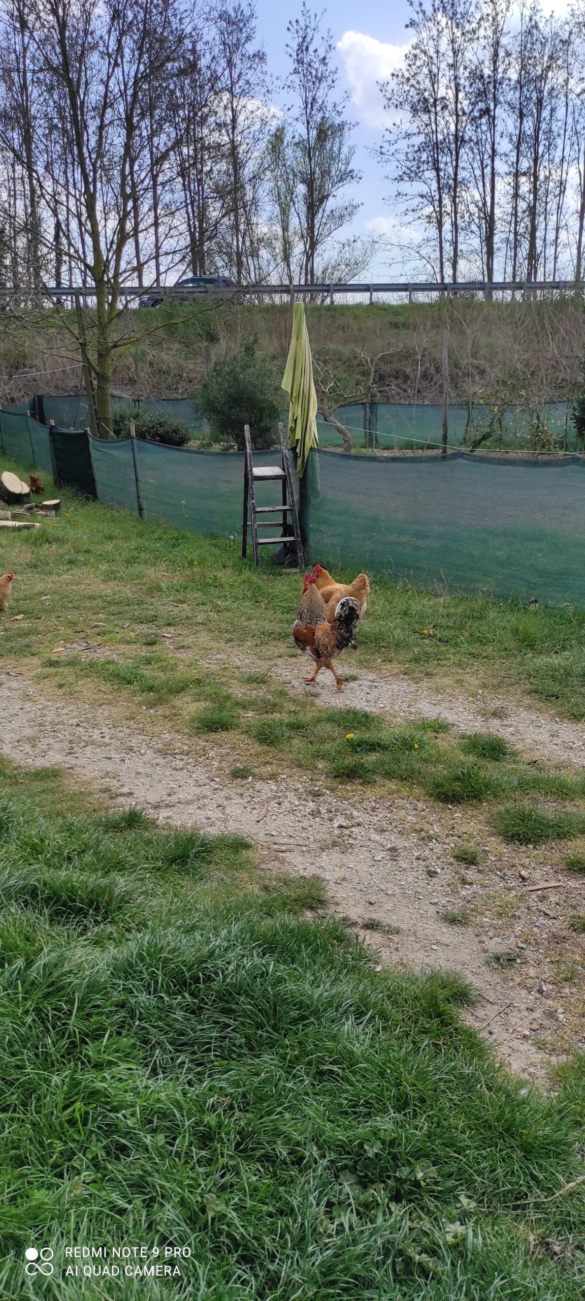 Cerco persone per intraprendere stile di vita sano e a contatto con la natura