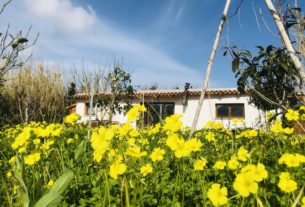 Offro casetta in Sardegna e cerco lavoro in ambito turistico e agricolo