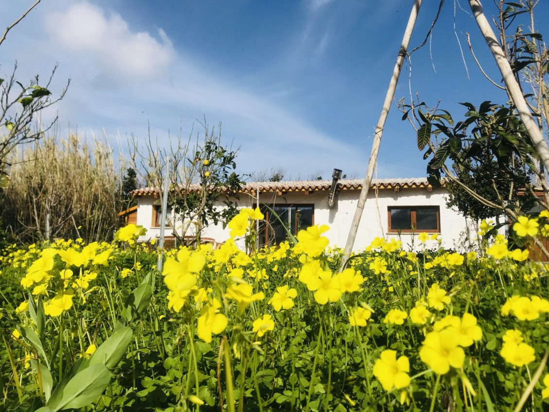 Offro casetta in Sardegna e cerco lavoro in ambito turistico e agricolo