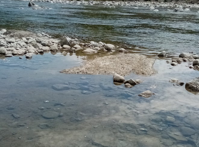 IMG 20200426 WA0013