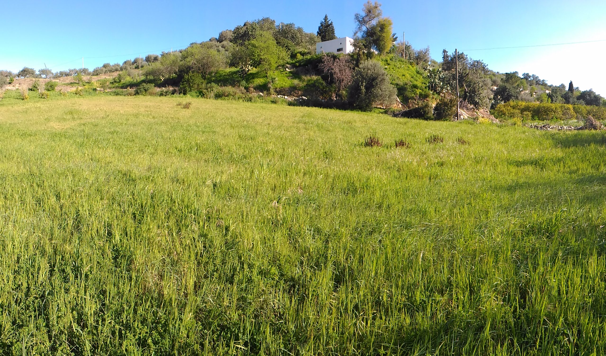 Offro OSPITAZIONE in nascente ECOVILLAGGIO