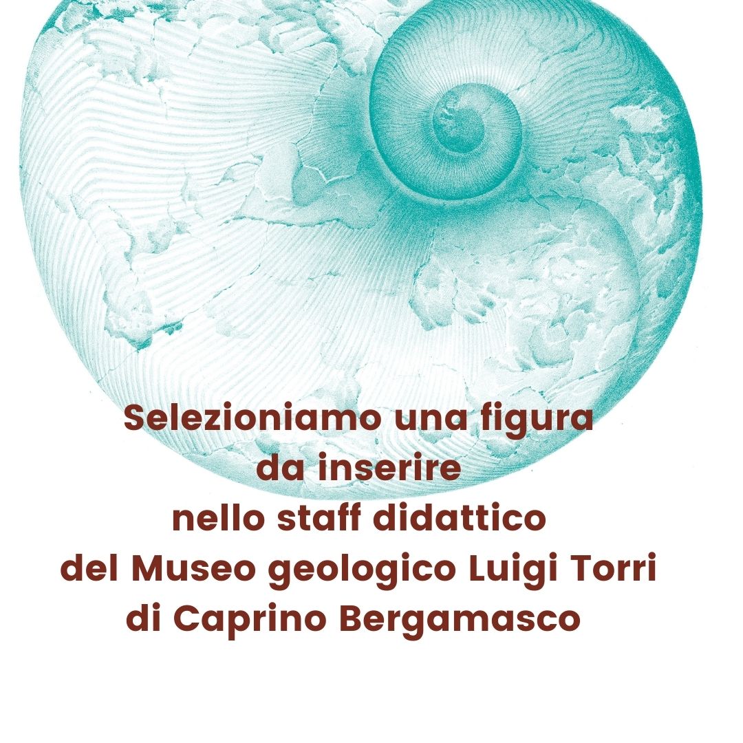Selezioniamo figura da inserire nello staff del Museo geologico Luigi Torri