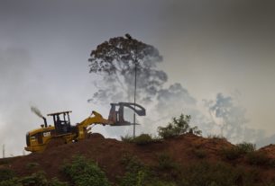 Covid: una natura sana è la migliore assicurazione per la nostra salute